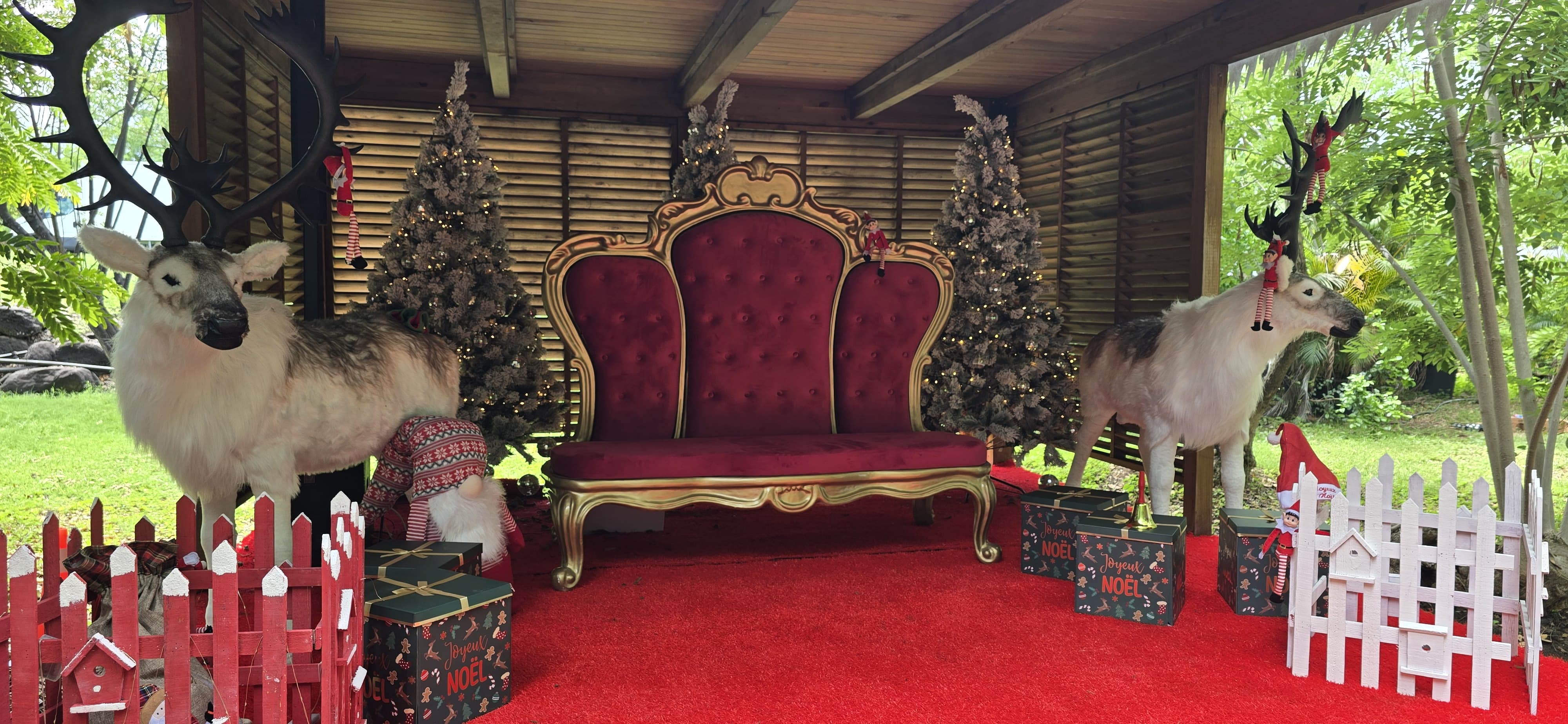 Noëland 2025 - photo 5