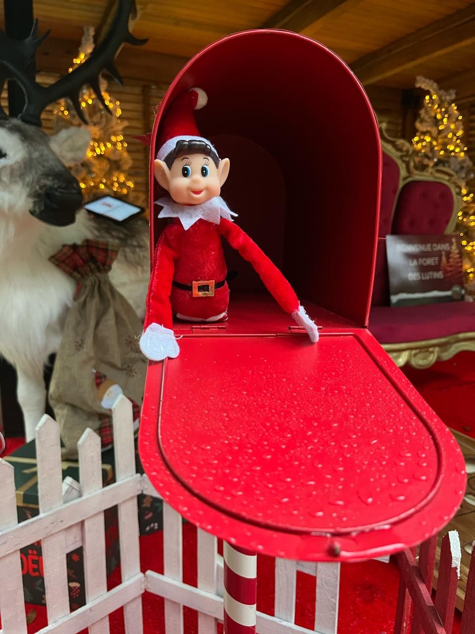 Noëland 2025 - photo 12